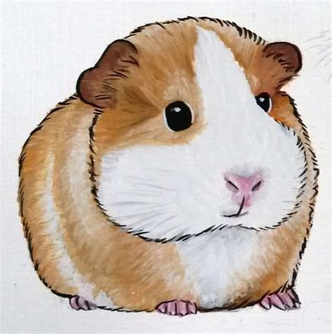guinea pig drawing